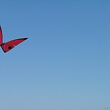 Penvins-festival -2006 -0337